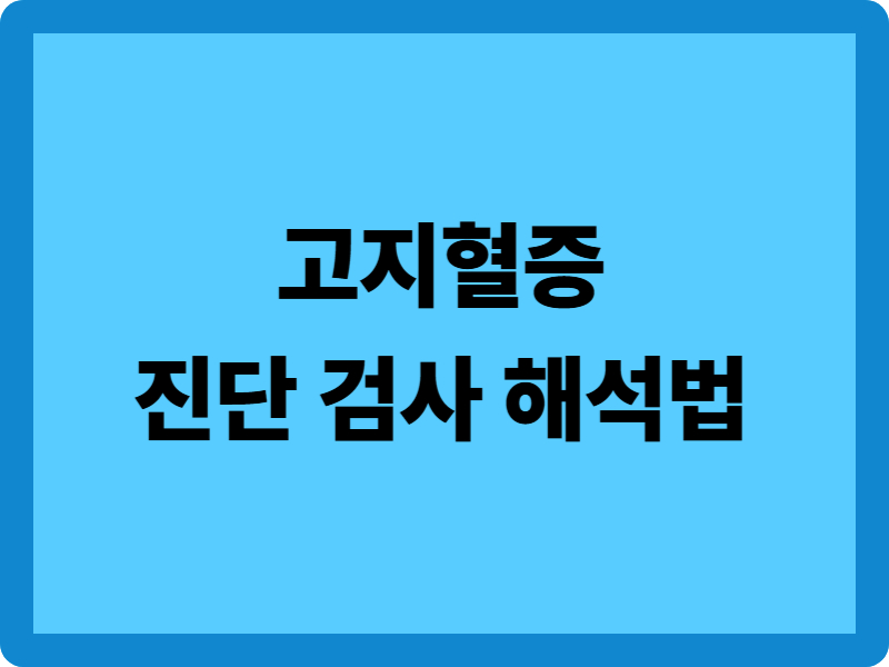 고지혈증 진단 검사 해석법: 4가지 수치로 보는 당신의 혈관 건강