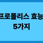프로폴리스 효능 5가지: 면역력 투자의 첫걸음