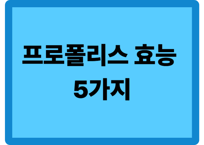 프로폴리스 효능 5가지: 면역력 투자의 첫걸음